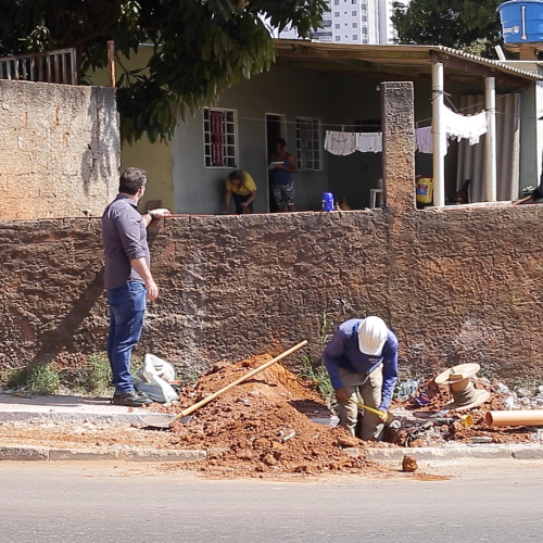 Martinele-1.1.still_